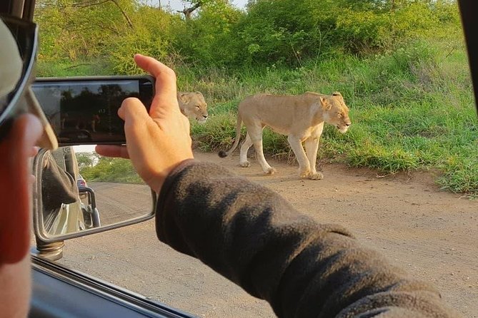 Open Vehical Safari in Kruger National Park Half Day - Tour Overview