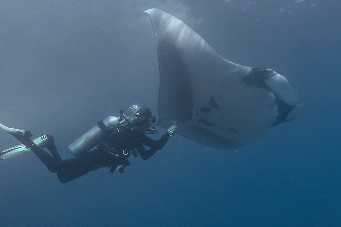 Open Water Diver Certification OWD - Good To Know