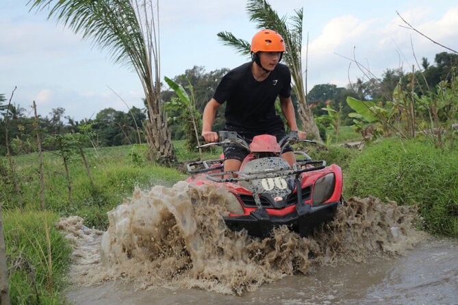 Organic Farm Cooking Class in Ubud With Bali Swing - Good To Know