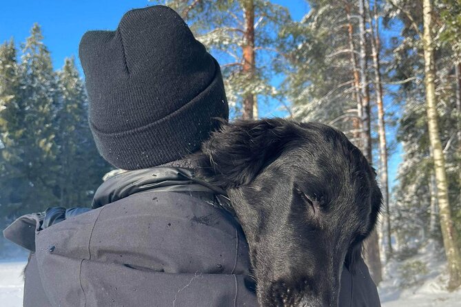 Oslo: Scenic Hike and Norwegian Waffles With Local Guide & Dog - Overview of the Scenic Hike