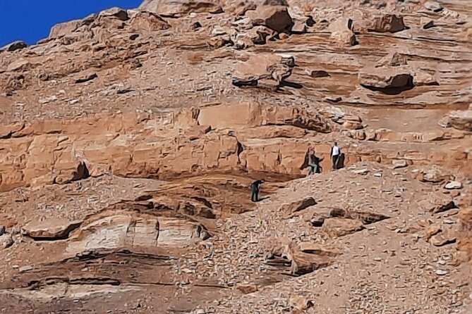 Overday Safari at White Desert and Black Desert - Good To Know