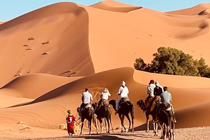 Overnight Stay in Desert Camp & Camel Trekking in the Sahara - Good To Know