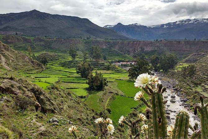 Overnight Tour: Colca Canyon Including Horse Riding From Arequipa - Overview of the Tour