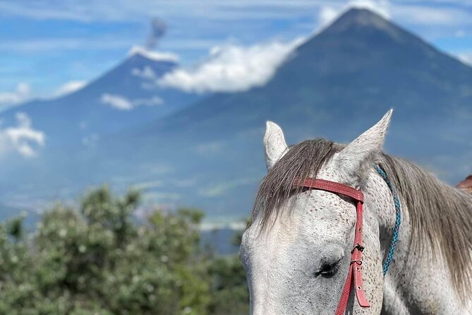 Pacaya Volcano Luxury Horseback Riding Tour - Tour Overview