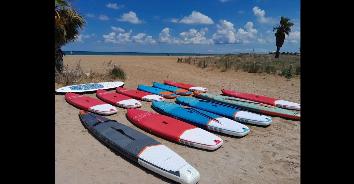 Paddle Surf Delivery Boards - Good To Know