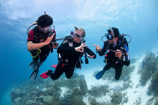 PADI Advanced Open Water Diver Course @ Anilao Batangas - Good To Know