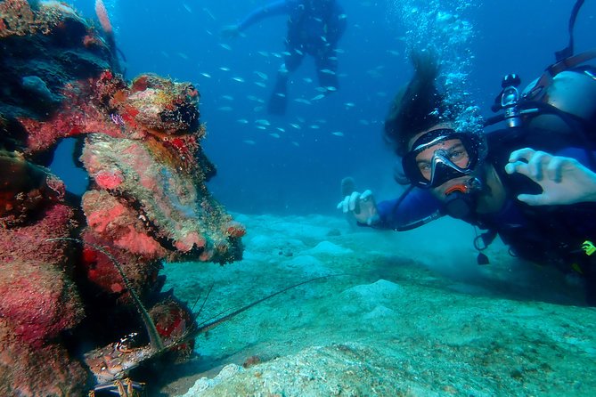 PADI Open Water Diving Course - Good To Know
