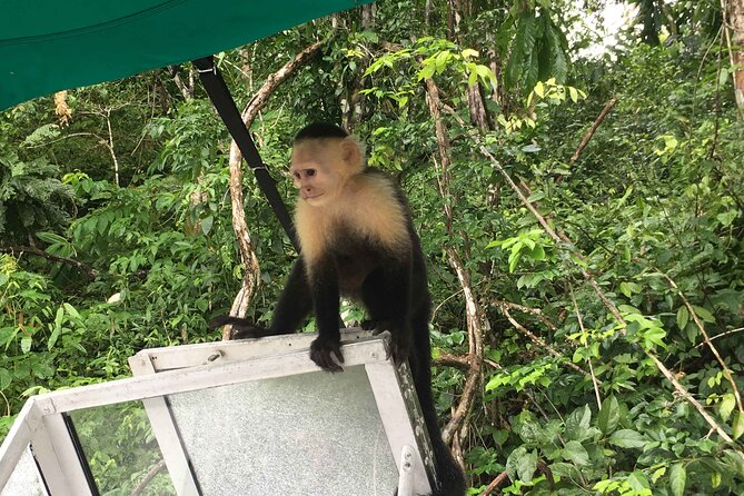 Panama Canal Eco Tour - Highlights of the Eco Tour