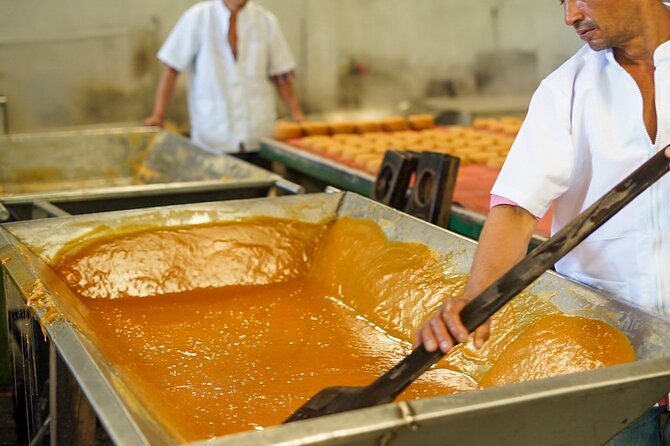 Panelero Tour a Sweet Experience Through Antioquia Culture - Good To Know