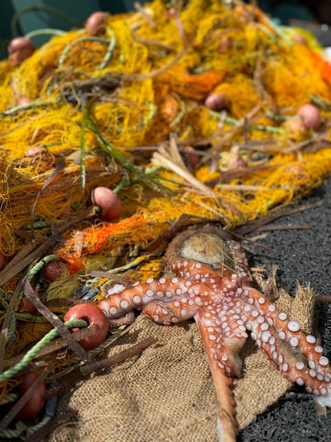 Paros: Highlights Tour With Fishing & Tasting in Naoussa - Good To Know