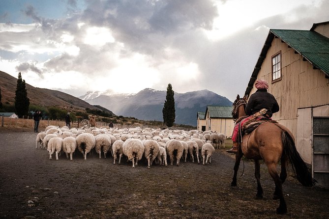 Patagonian Ranch: Nibepo Aike Adventure With Horseback Riding - Good To Know