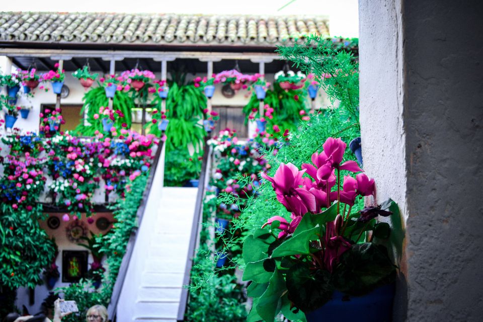 Patios of Cordoba Walking Tour - Good To Know