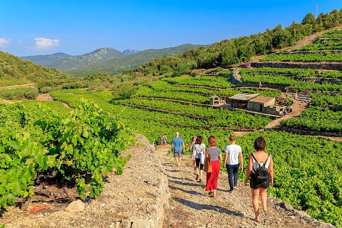 Peljesac&Ston Small-Group Food & Wine Experience From Dubrovnik - Good To Know
