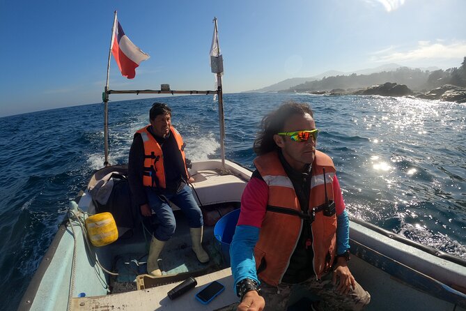 Penguins Watching Navigation Cachagua Island&Lunch From VALPARAIS - Tour Overview and Highlights