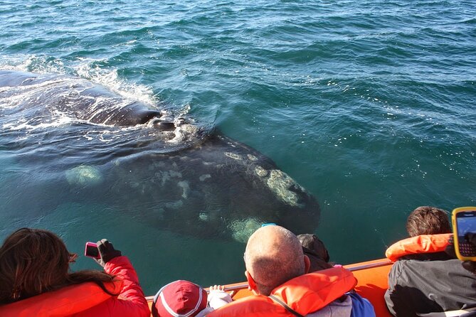 Peninsula Valdes & Whales - Good To Know