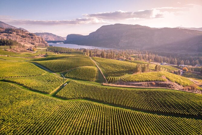 Penticton Wineries Tour - Good To Know