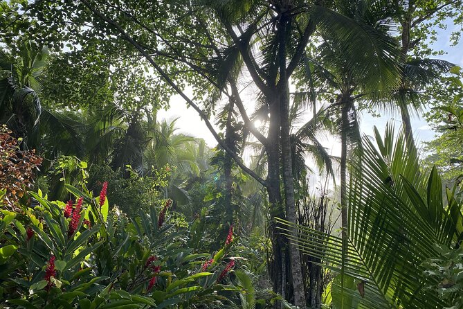 Personalized Private Tour Experience - Costa Rica - Good To Know