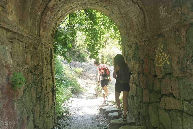 Photography Route Through the Secret Nature of Barcelona