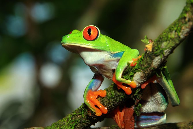 Photography Tour at Natura Eco Park - Good To Know