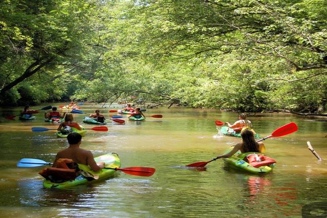Phu Quoc Northern Island and Kayaking in Cua Can River - Good To Know