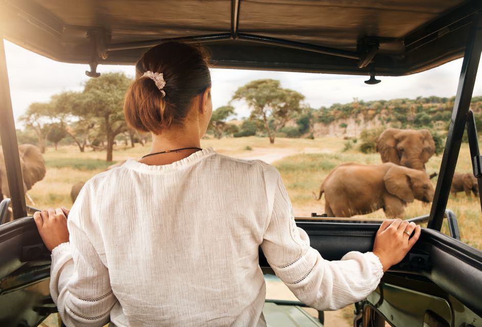 Pilanesberg Wildlife Safari From Johannesburg - Good To Know