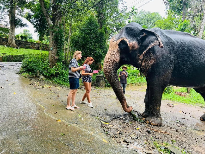 Pinnawala Day Tour From Kandy (Private Tour ) - Good To Know