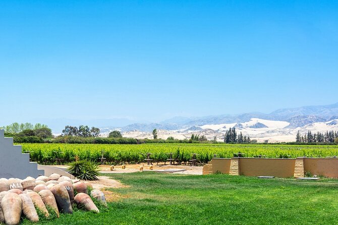 Pisco Route: La Caravedo, Tacama and Nietto Vineyard - Overview of the Pisco Route