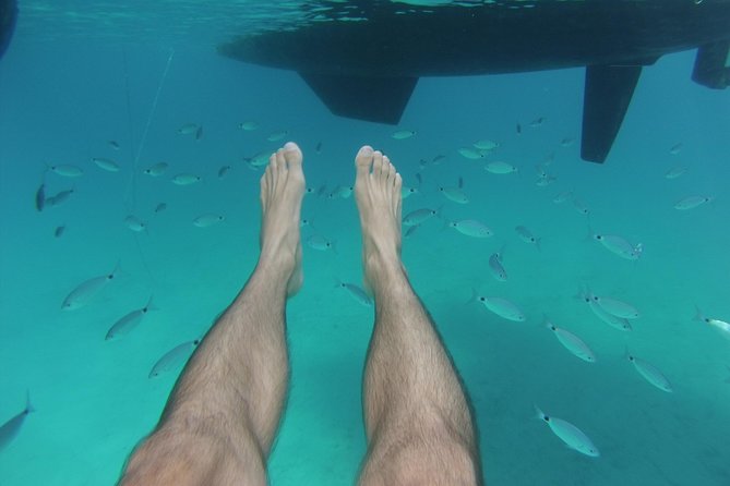 Playa Es Arenals Catamaran Private Full Day Trip - Good To Know