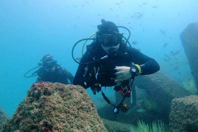 Pleasure Scuba Diving in Fujairah for Certified Diver - Good To Know