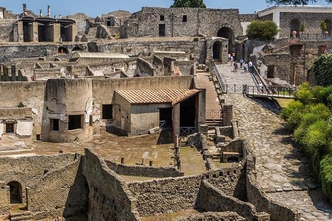 Pompeii Archeological Site Fast Track Entry Ticket - Overview of the Pompeii Archaeological Site