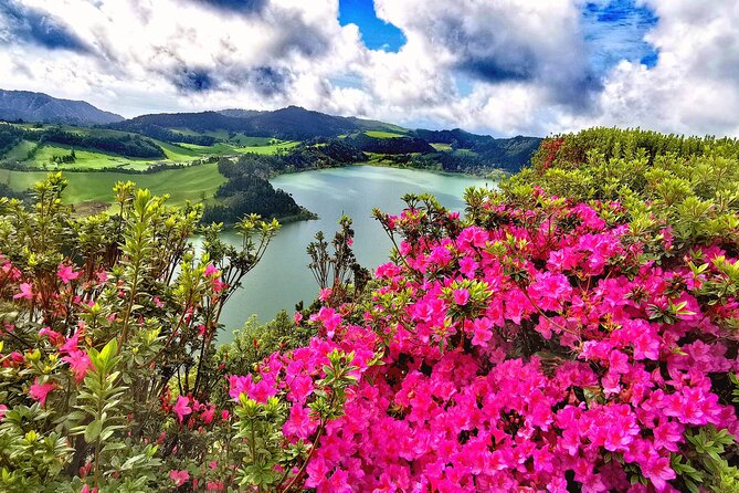 Ponta Delgada Small-Group Furnas and Northeast Tour With Lunch - Pricing and Booking Details
