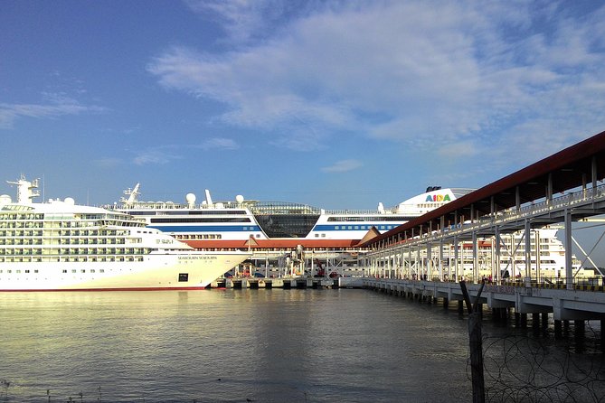 Port Klang Cruise - KL City Tour With KL Tower Ticket & Batu Cave - Good To Know