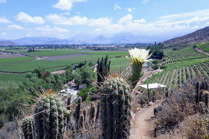 Portillo Inca Lagoon in Los Andes + Local Vineyard Tour - Key Sites in the Tour