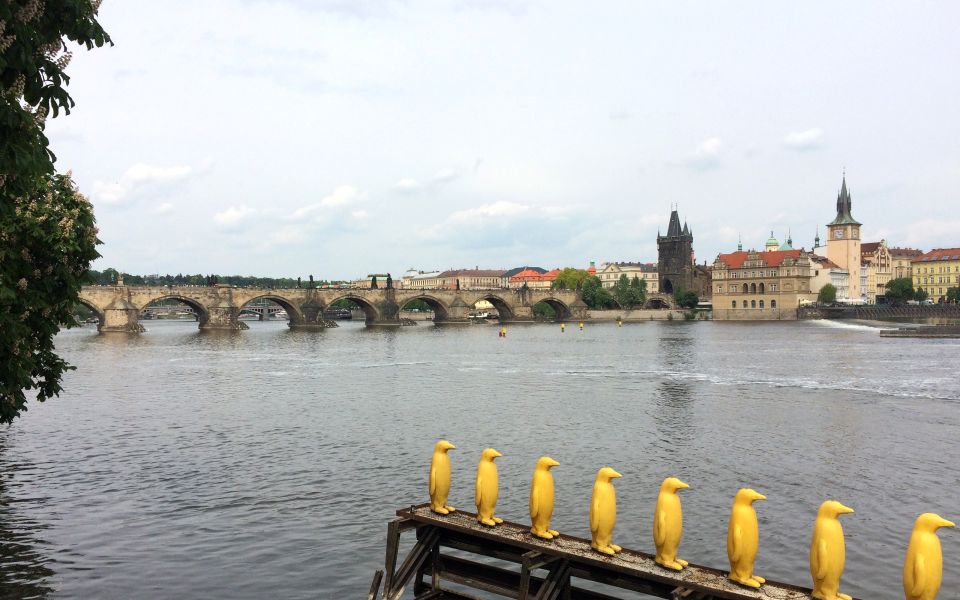 Prague: Classic City Bike Tour - Good To Know