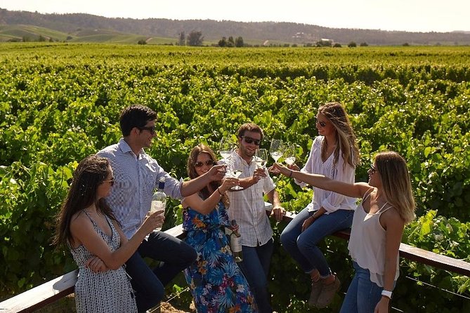 Pre or Post Valparaiso Cruise With Santiago City Tour and Optional Vineyard - Inclusions and Pickup