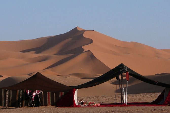Premium Full-Day Safari, Dune Bash, Camel Ride and BBQ Meal in Desert Camp - Good To Know