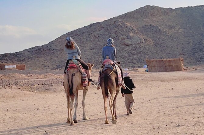 PRIVATE! 3-Hour or 5-Hour Quad Safari Tour to Sahara Desert - Tour Overview