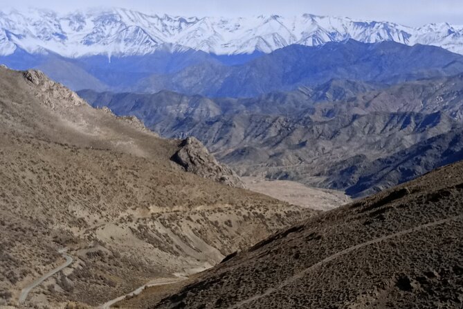 Private 4x4 Adventure Day Tour Through the Mendocina Precordillera - Tour Highlights
