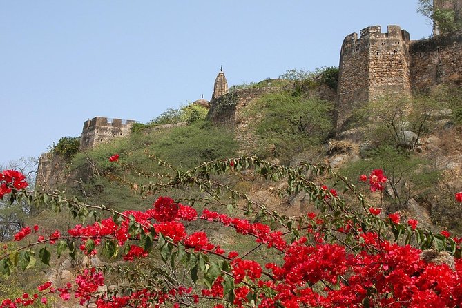 Private 6 Hours: Jaipur Temples Tour - Good To Know