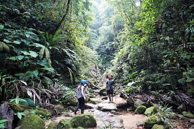 Private Active 4 Day Amazon Adventure - Good To Know