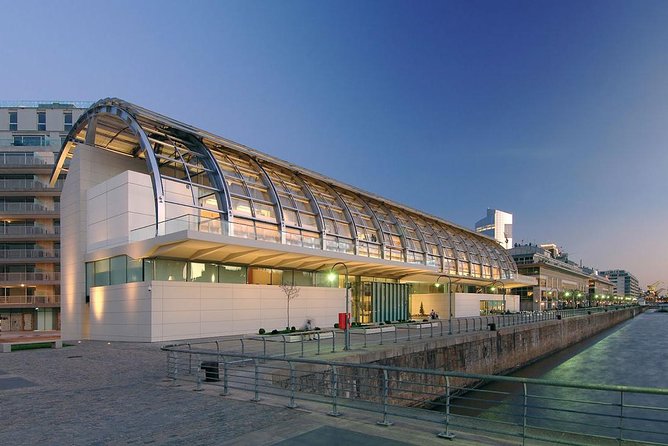 Private Art and Museums Tour in Buenos Aires - Tour Overview