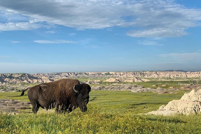 Private Badlands National Park Day Tour - Good To Know