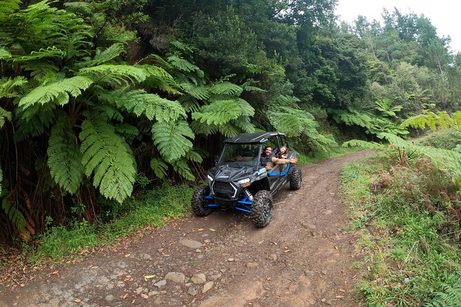Private Buggy Off-Road Tour - Tour Overview