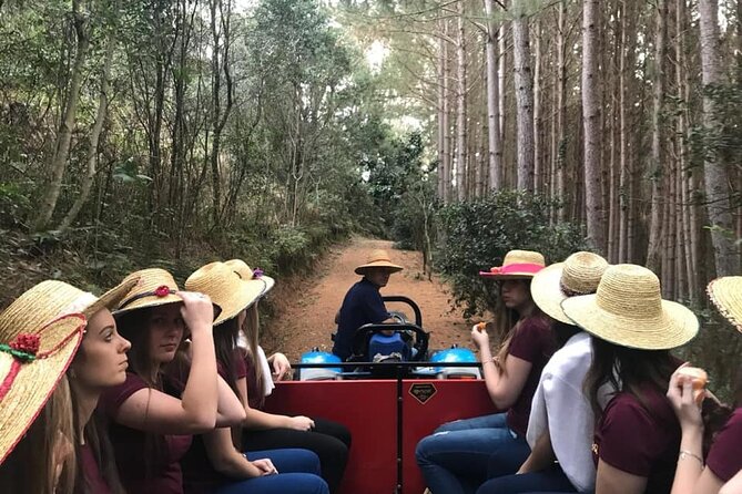 Private Carriage Ride in Flores Da Cunha - Good To Know