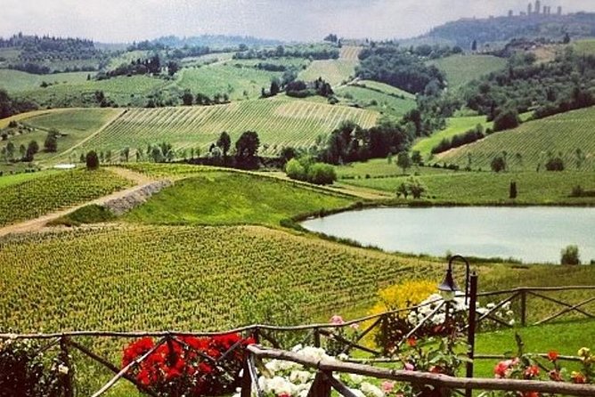 Private Chianti Classico Tour With Wine and Food Tasting in a Historic Estate - Good To Know