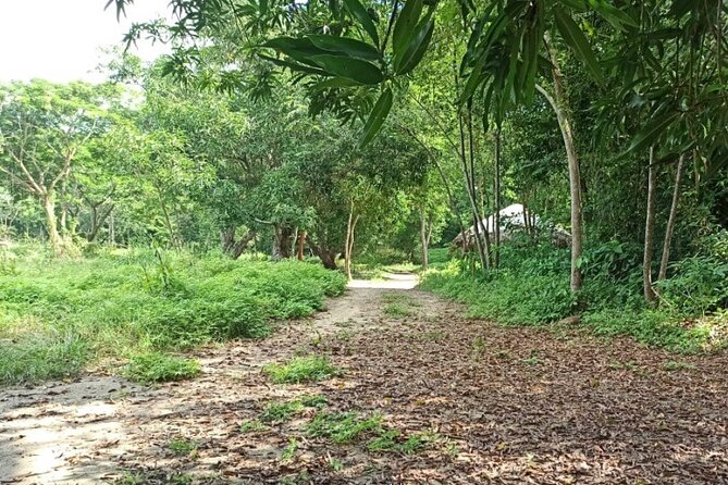 4 Best Tours In Caribbean Coast