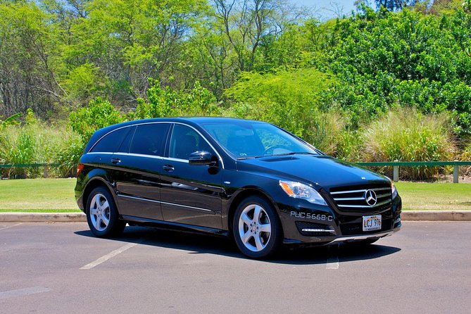Private Departure Transfer: Oahu Hotels or Honolulu Cruise Terminal to Honolulu International Airport