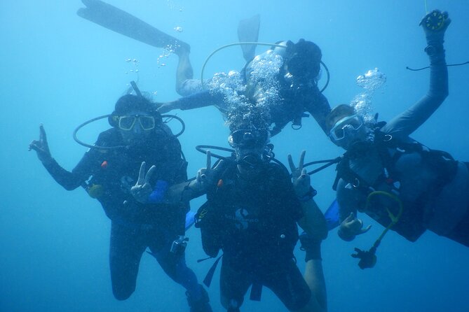 Private Discovery Scuba Diving With Sea Turtles - Experience the Underwater Wonders