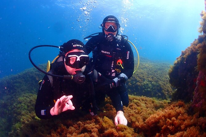Private Diving Baptism in the Gulf of Calvi - Key Points