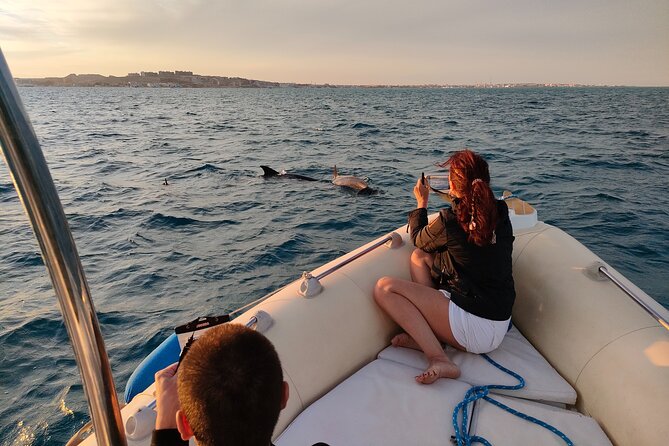 Private Dolphin Watching And Snorkeling Tour - Good To Know